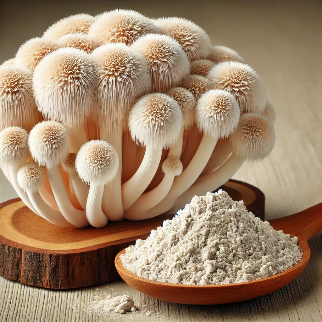 Lion's Mane Extract – Food for Brain &amp; Nerves 🦁🧠✨