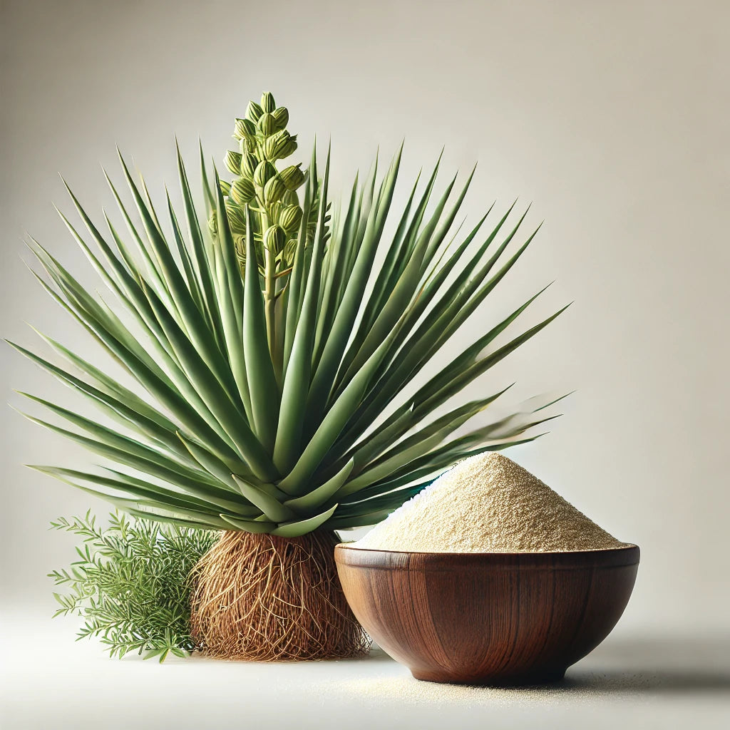 Yucca Extract – Natural Support for Joints &amp; Cholesterol Levels 🌿💪